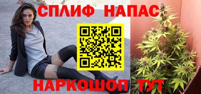 мяу мяу мука Краснознаменск