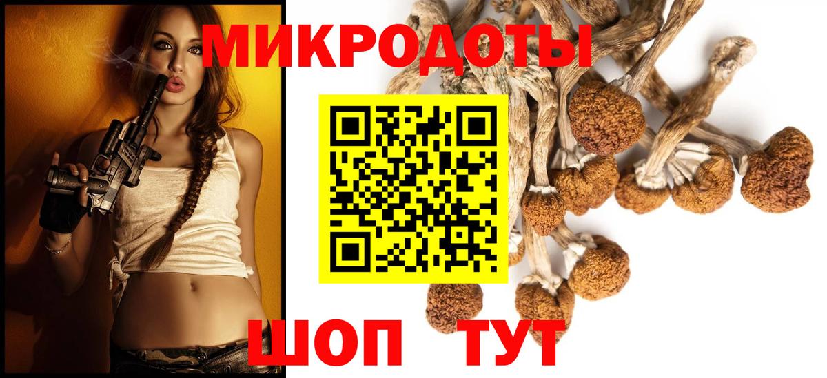 Псилоцибиновые грибы Psilocybine cubensis  хочу   Нижневартовск  Вход с VPN 